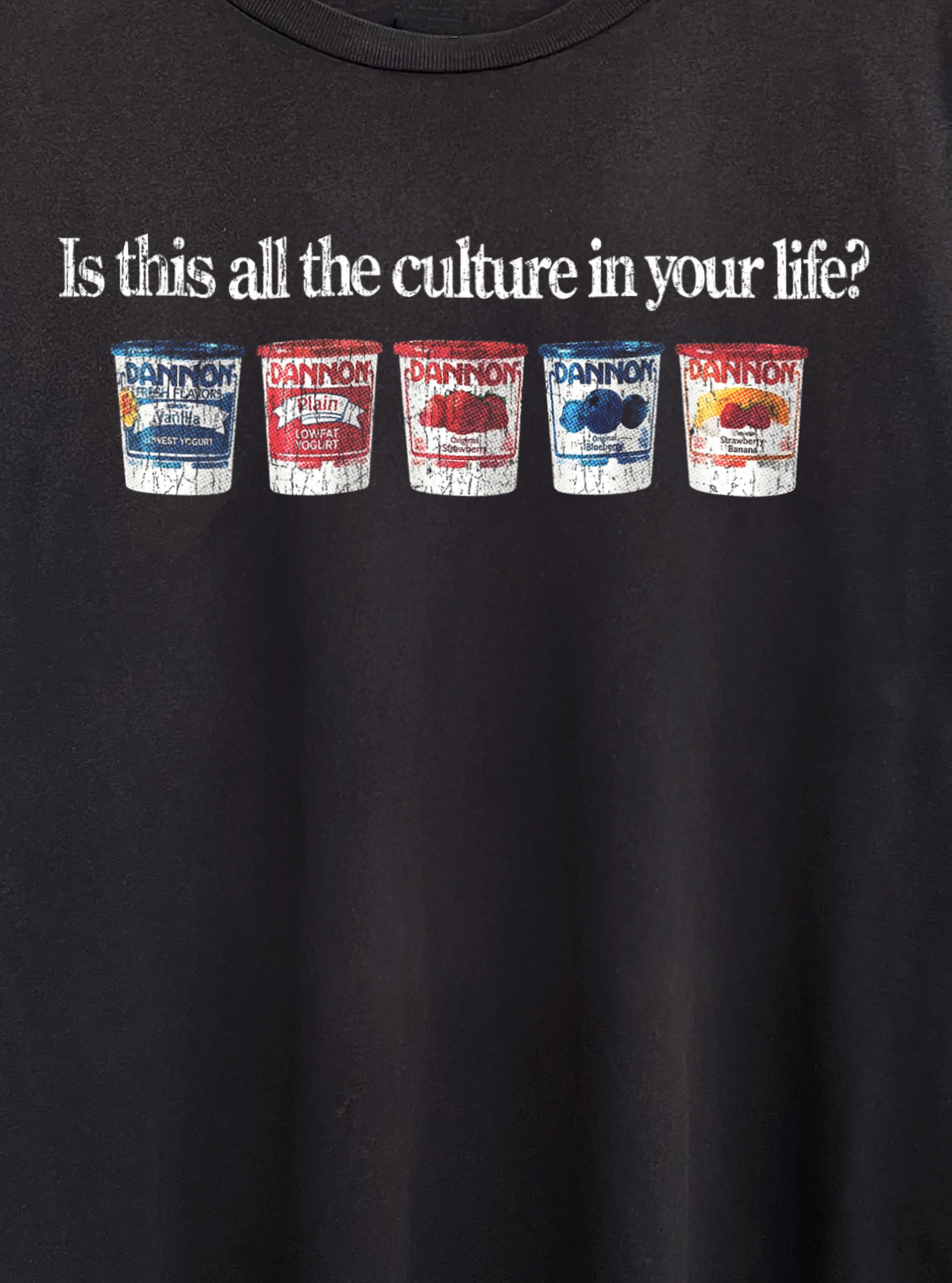 Vintage Dannon Culture Washed Black Tee