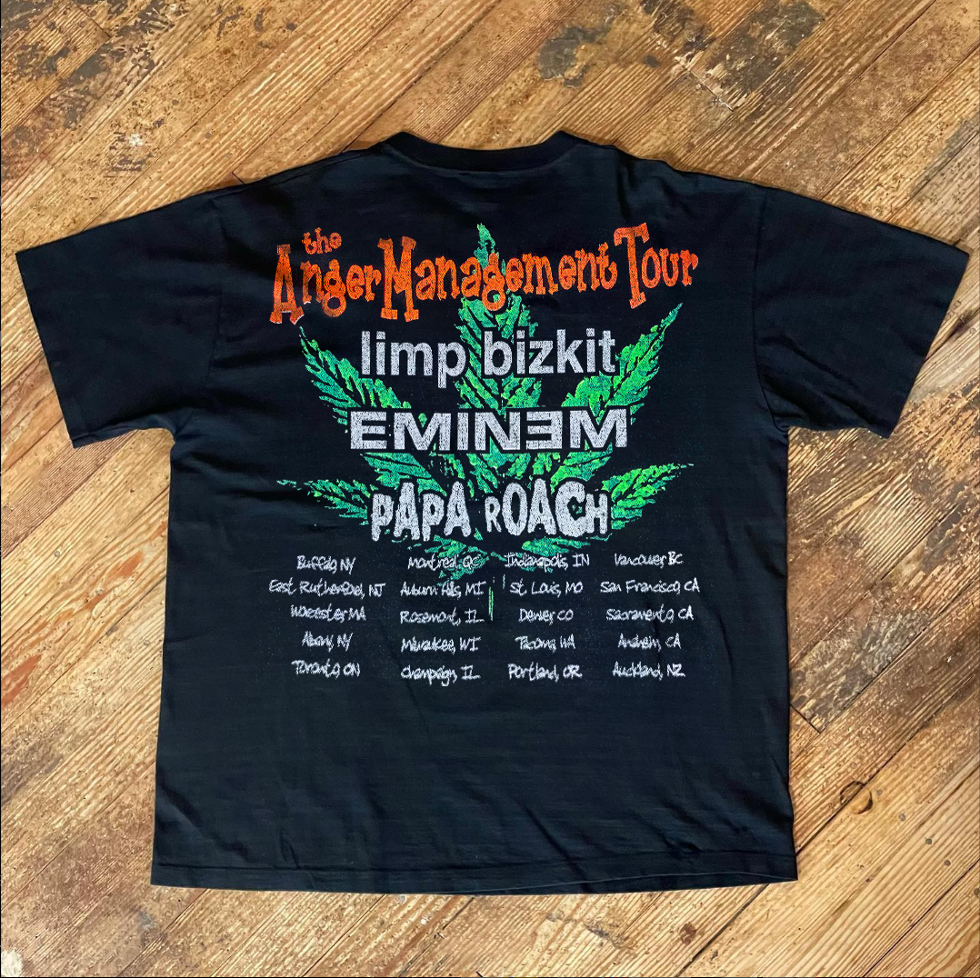 Limp Bizkit - Anger Management Tour