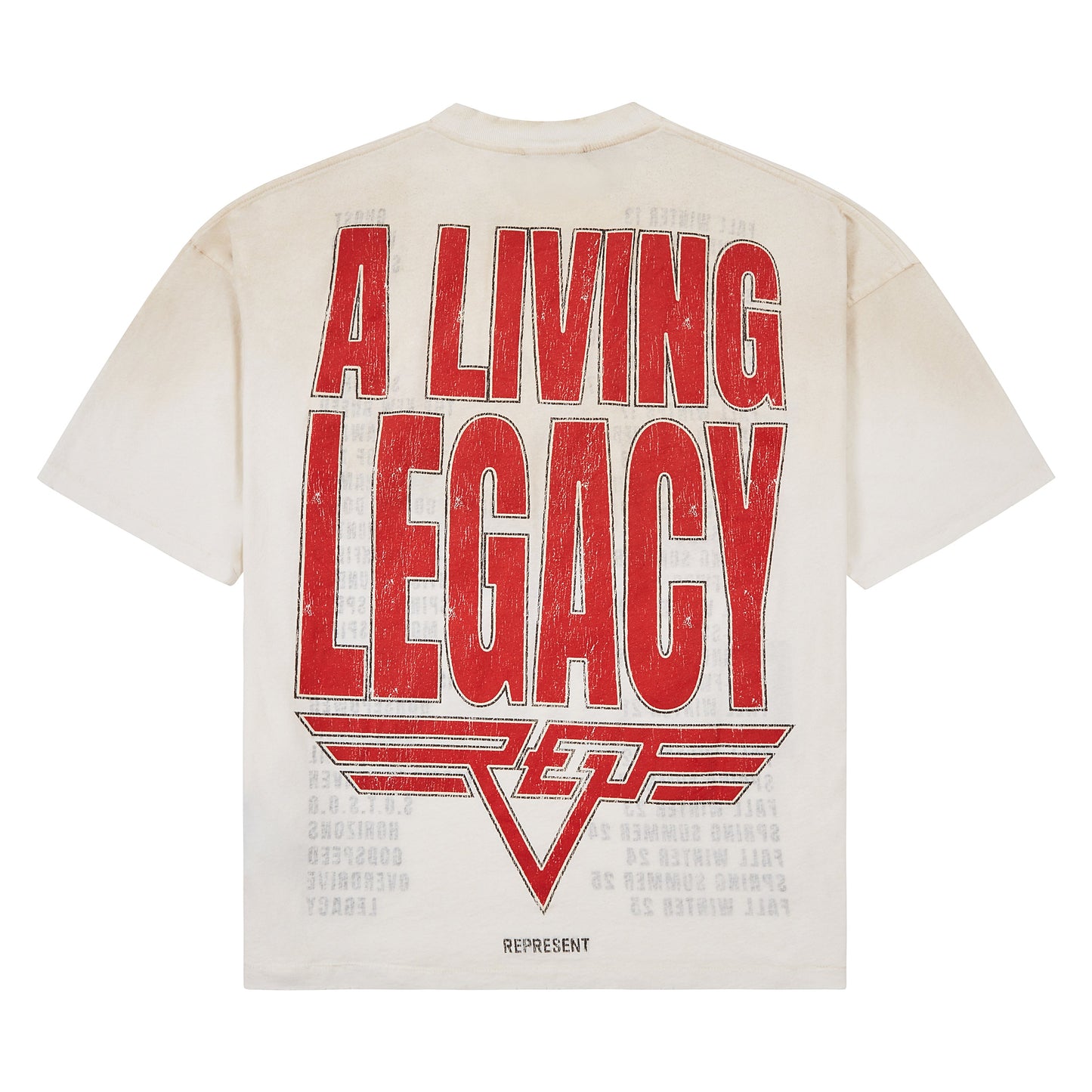 Living Legacy Reversible Tee | Washed Ecru