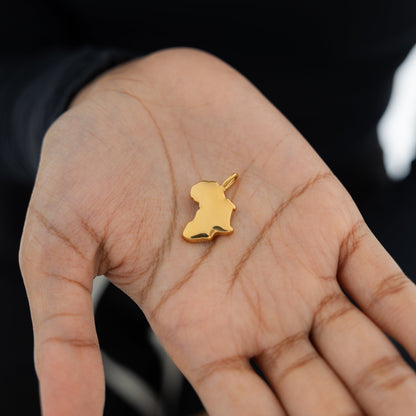 Country Map Charm