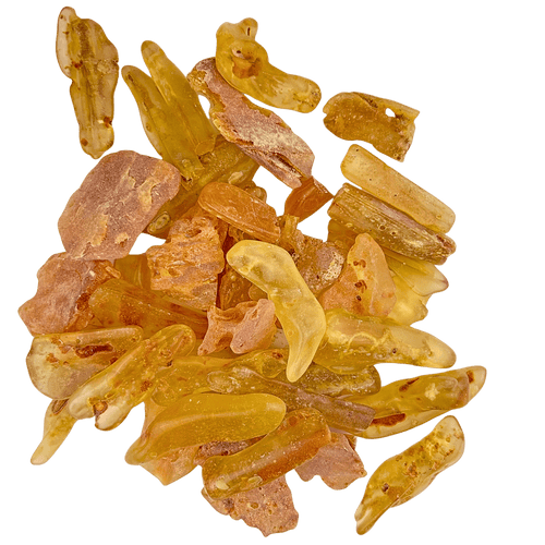 40-piece Copal Bag (Young Amber) #4