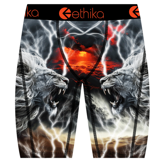 Lion Strike Underwear
