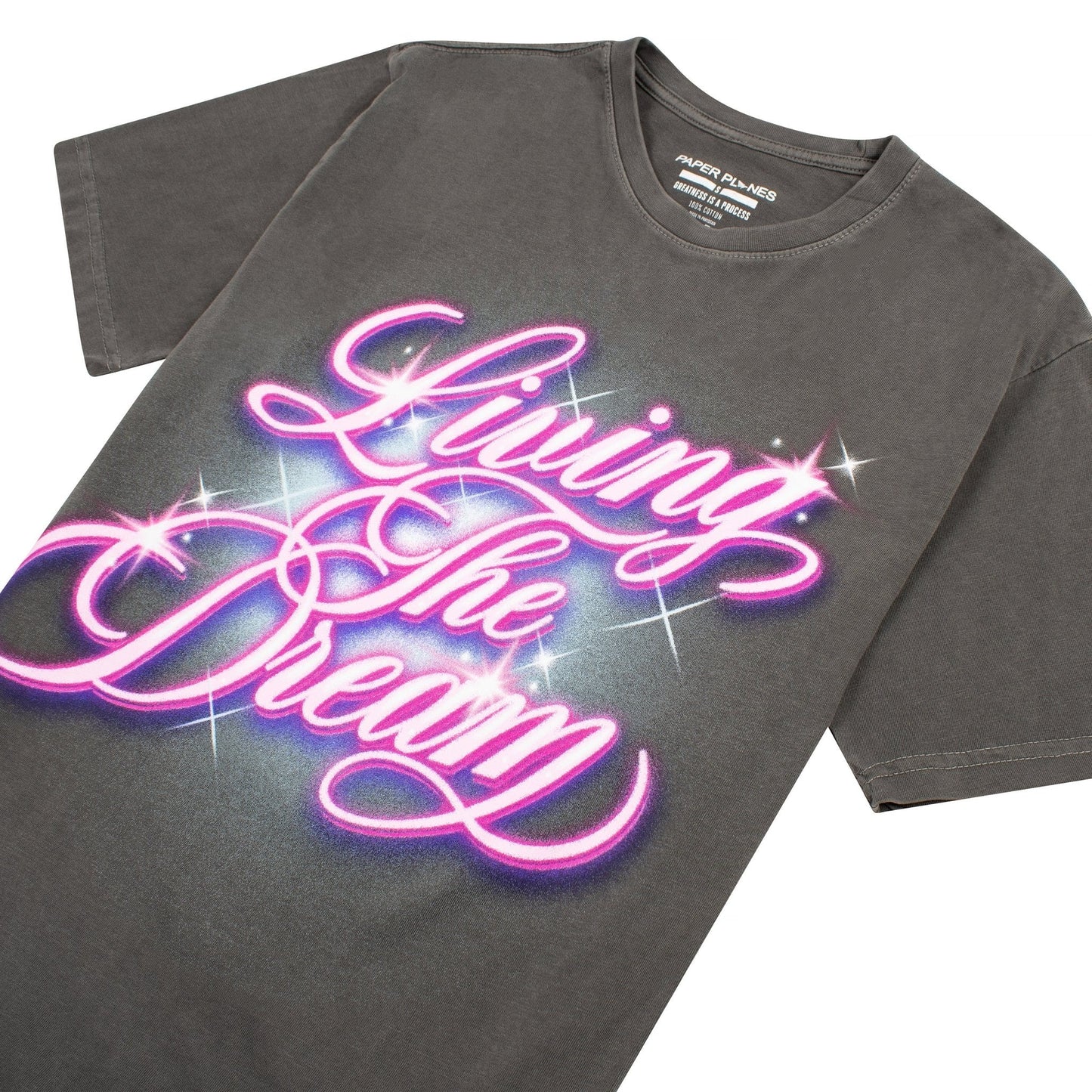 Living the Dream Tee | Washed Black
