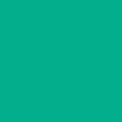 10" Dollar HTV [CLOSEOUT]