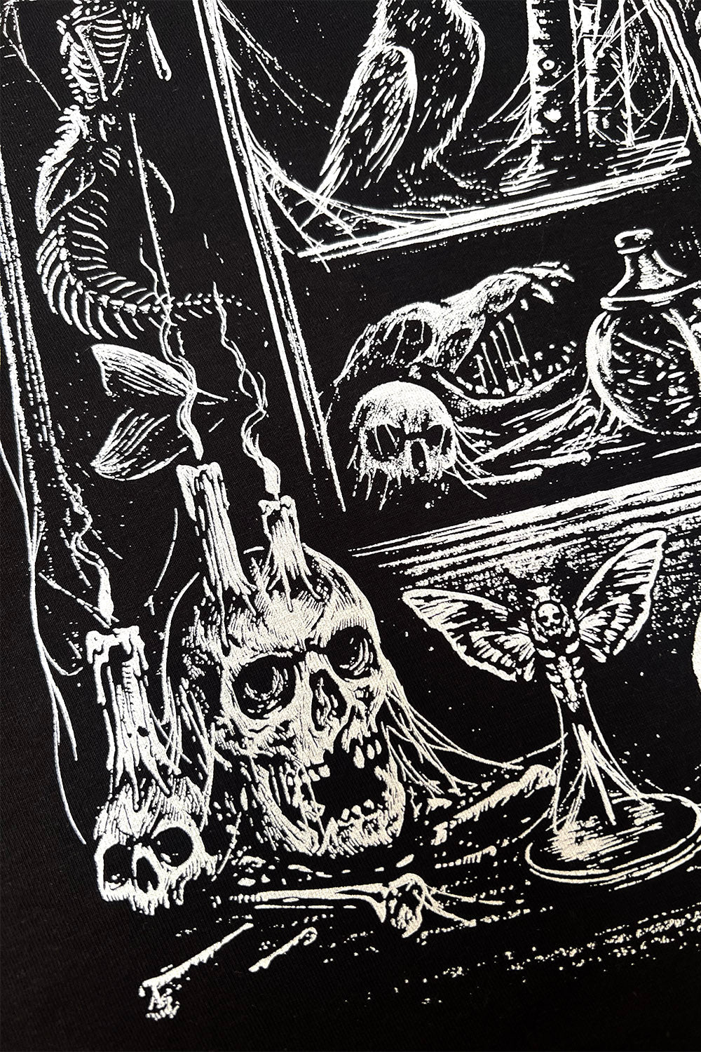 Cabinet of Curiosities T-shirt