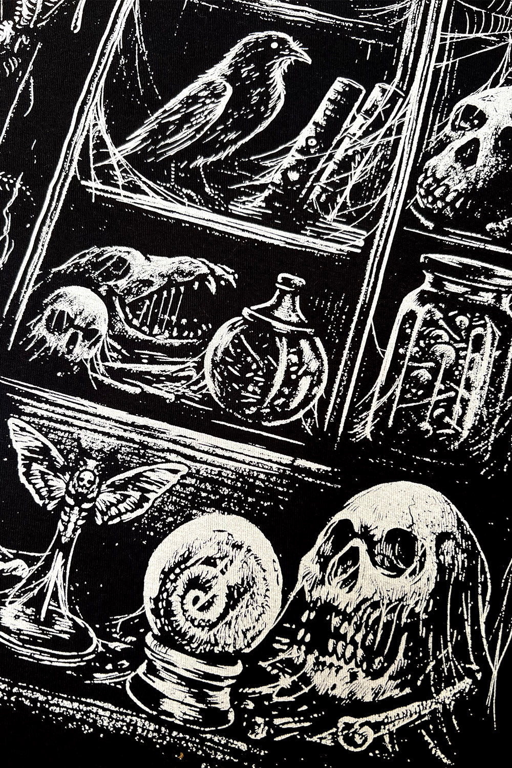 Cabinet of Curiosities T-shirt