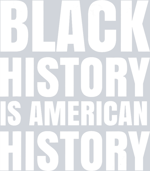 Black History Is American History 3 - STK00700 (DTF Transfers)